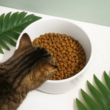 Load image into Gallery viewer, I Love My Humans - Custom Personalized Pet Bowl for Dog Lovers Pet Bowl PopCulturePrints