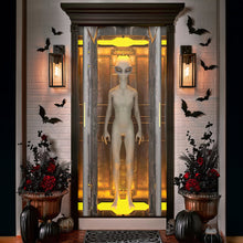 Load image into Gallery viewer, Personalized Piano Player Photo Ornament Door Covers PopCulturePrints
