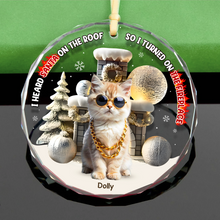 Load image into Gallery viewer, Personalized Pet Lover's Christmas Ornament - Turned On The Fireplace Ornament PopCulturePrints