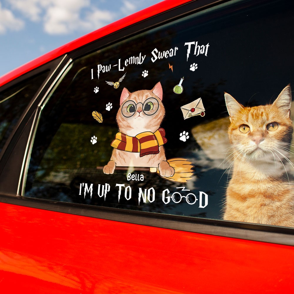 Magical Journey Car Sunshade - Harry and Ron Design