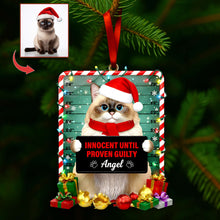 Load image into Gallery viewer, Innocent Until Proven Guilty - Cute Naughty Cat Acrylic Ornament | Personalized Photo Gift for Cat Lovers Ornament PopCulturePrints
