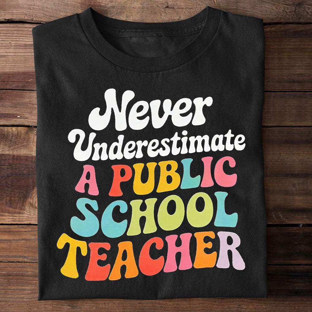 Inspirational Public School Teacher Sweatshirt