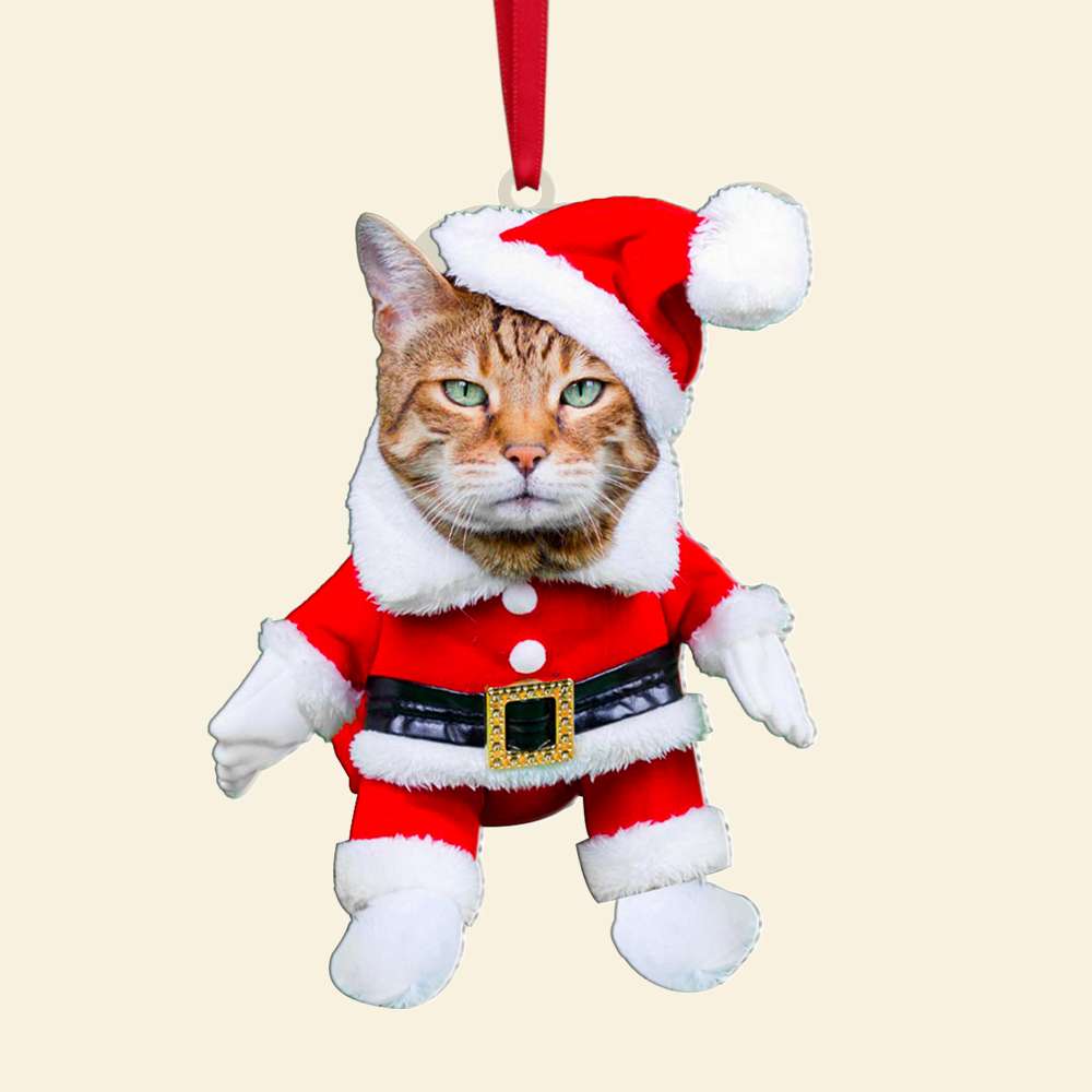 Personalized Cat Photo Christmas Ornament - Reindeer Costume Ornament PopCulturePrints