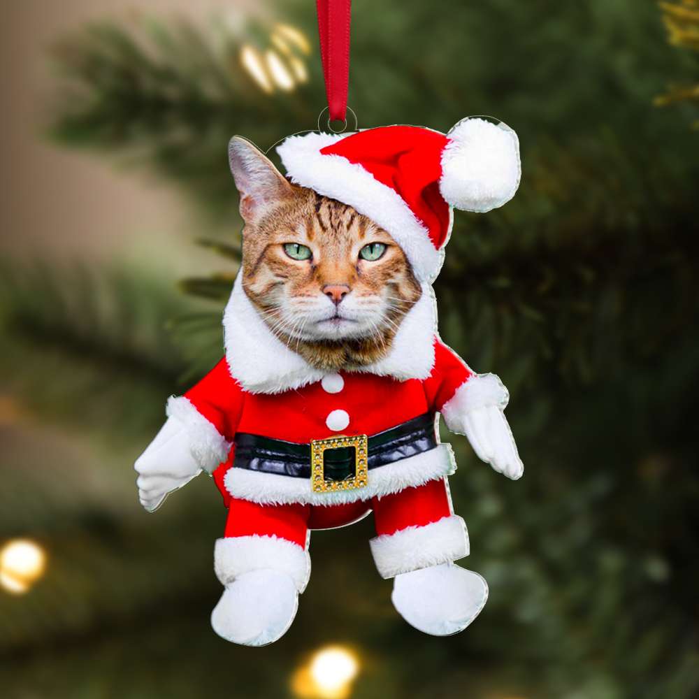 Personalized Cat Photo Christmas Ornament - Reindeer Costume Ornament PopCulturePrints