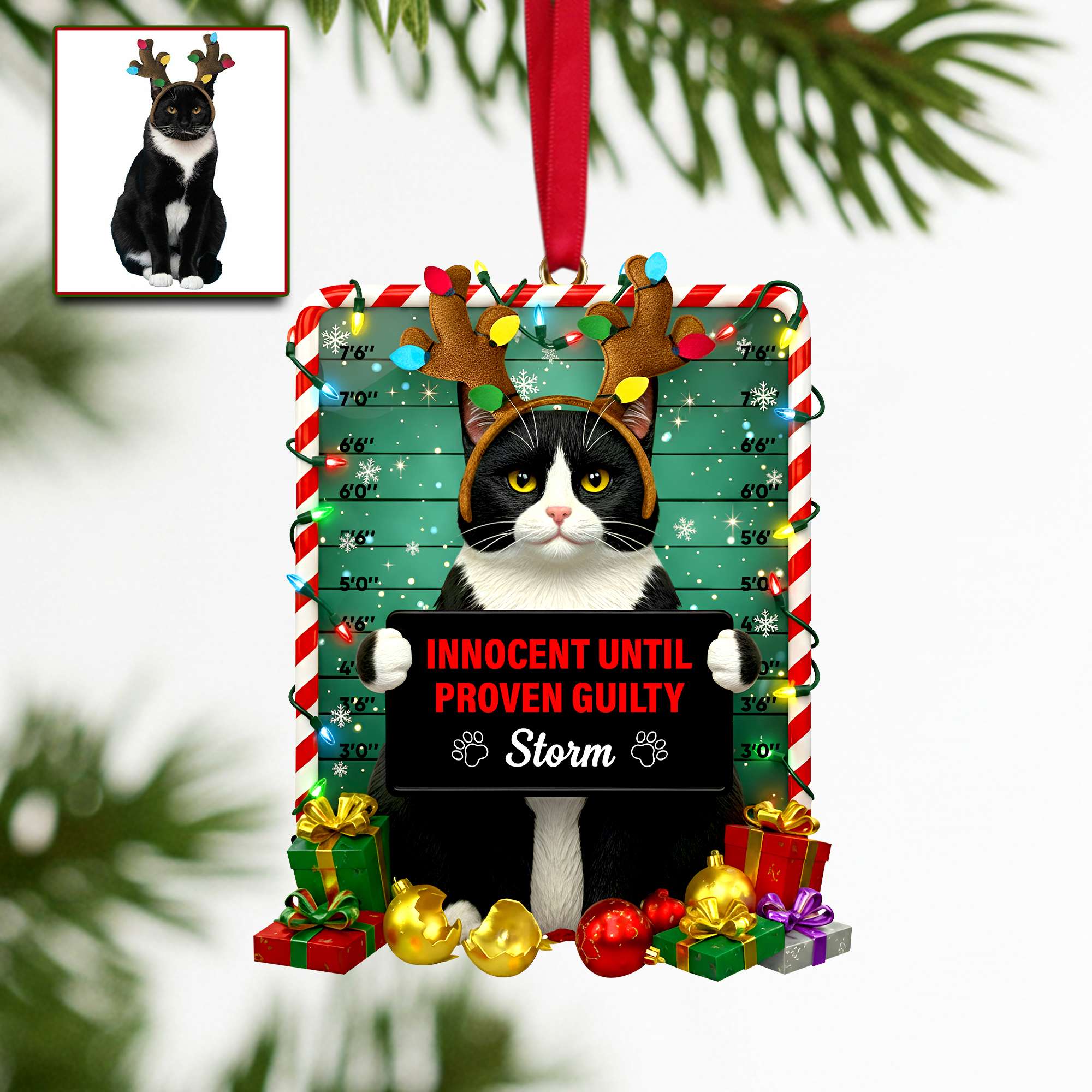 Innocent Until Proven Guilty - Cute Naughty Cat Acrylic Ornament | Personalized Photo Gift for Cat Lovers Ornament PopCulturePrints