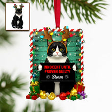Load image into Gallery viewer, Innocent Until Proven Guilty - Cute Naughty Cat Acrylic Ornament | Personalized Photo Gift for Cat Lovers Ornament PopCulturePrints
