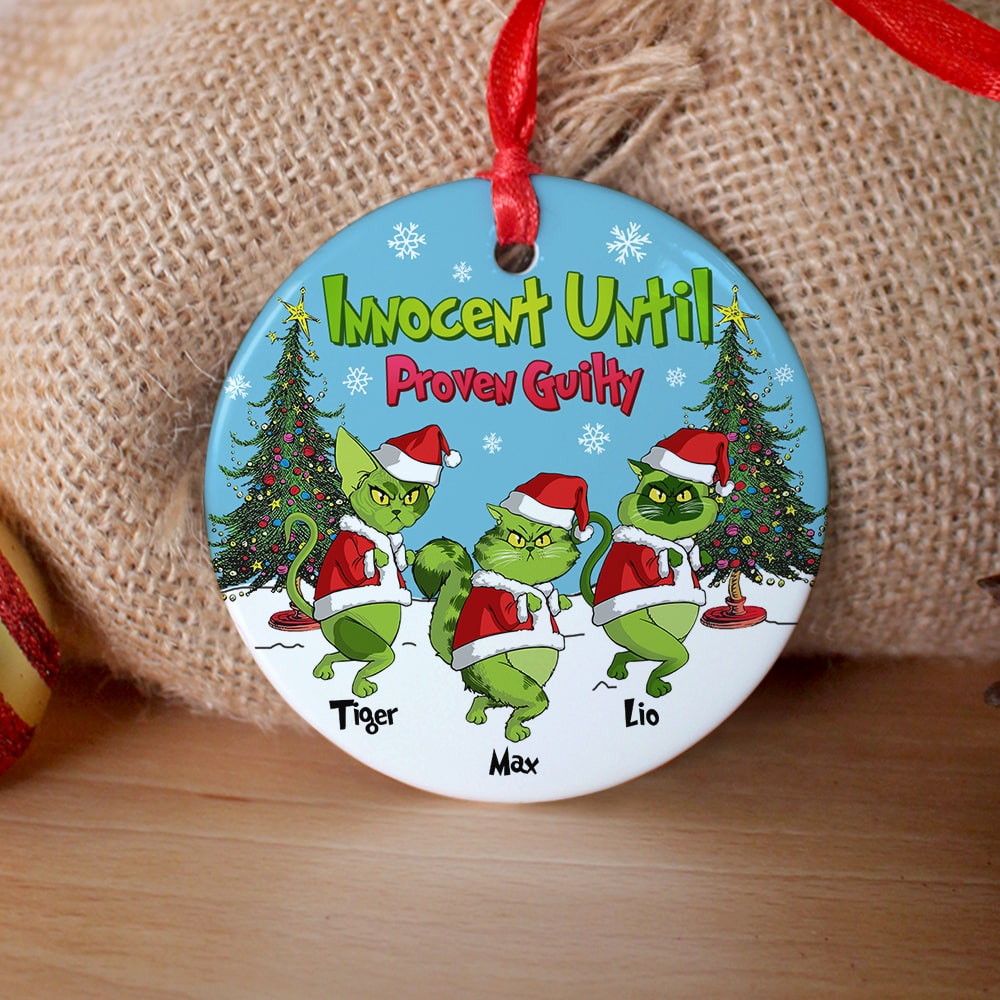 Personalized Grumpy Green Cat Lover Christmas Ornament