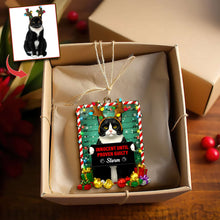 Load image into Gallery viewer, Innocent Until Proven Guilty - Cute Naughty Cat Acrylic Ornament | Personalized Photo Gift for Cat Lovers Ornament PopCulturePrints
