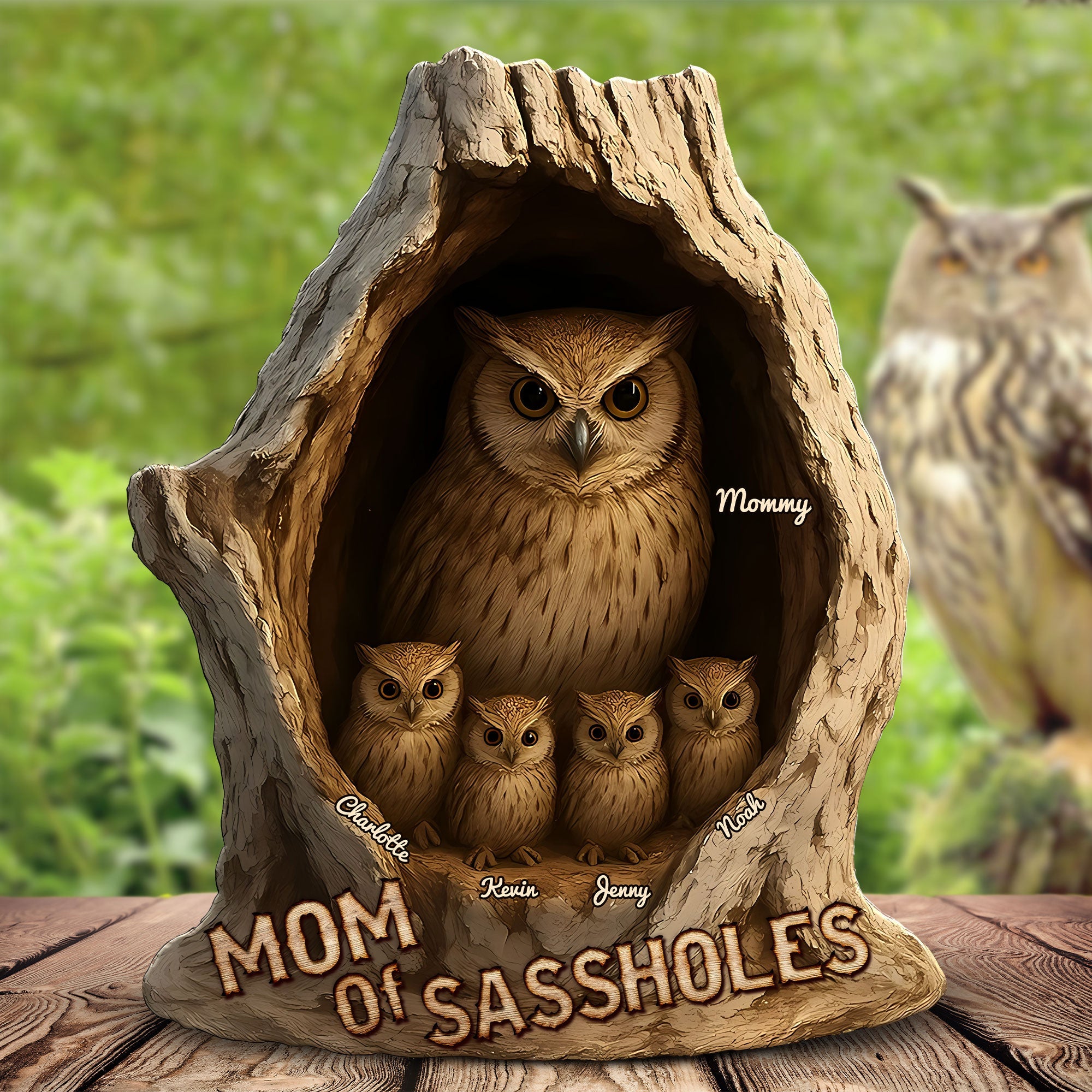 "Mom of Sassholes" - Personalized Owl Mom Plaque - Gift for Mom, Grandma, and More Shaped Plaques PopCulturePrints