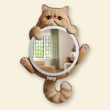 Load image into Gallery viewer, Adorable Cat-Themed Mirror - Personalized Gift for Cat Lovers Mirror PopCulturePrints
