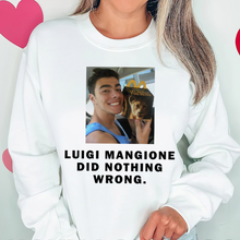 Load image into Gallery viewer, Luigi Mangione Supporter T-Shirt
