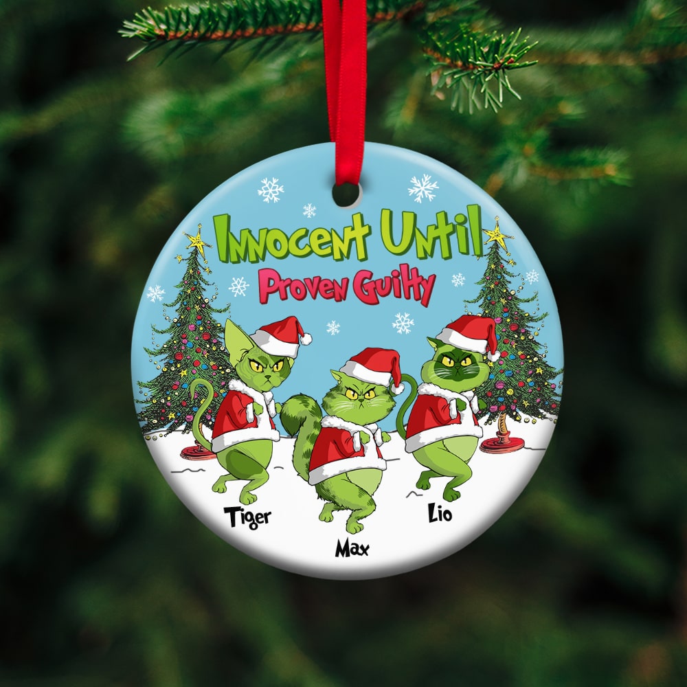 Personalized Grumpy Green Cat Lover Christmas Ornament