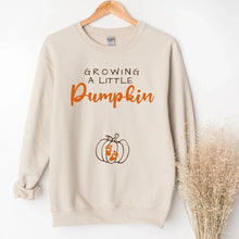 Load image into Gallery viewer, Growing a Little Pumpkin Maternity Shirt
