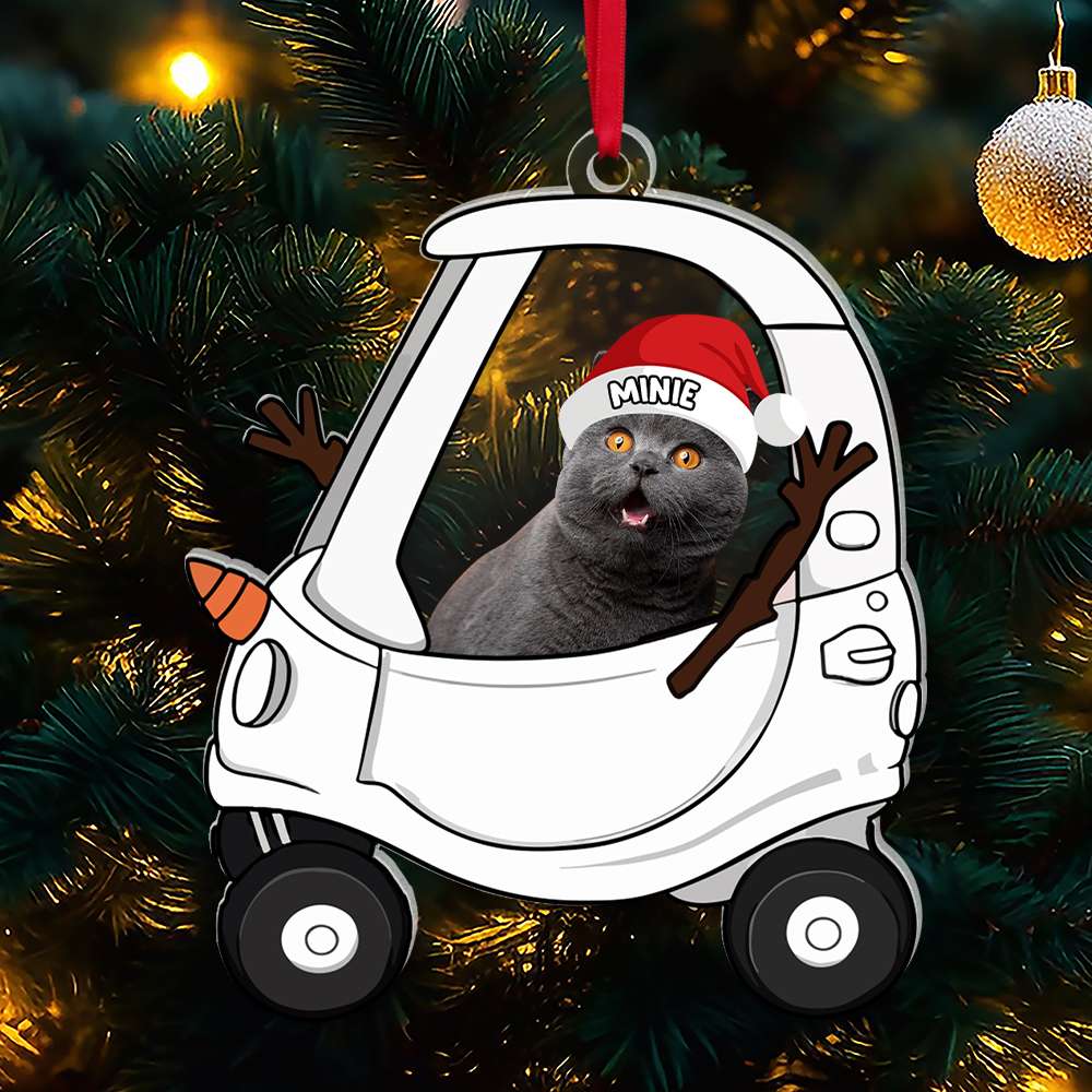 Personalized Christmas Acrylic Ornament for Pet Lovers Ornament PopCulturePrints