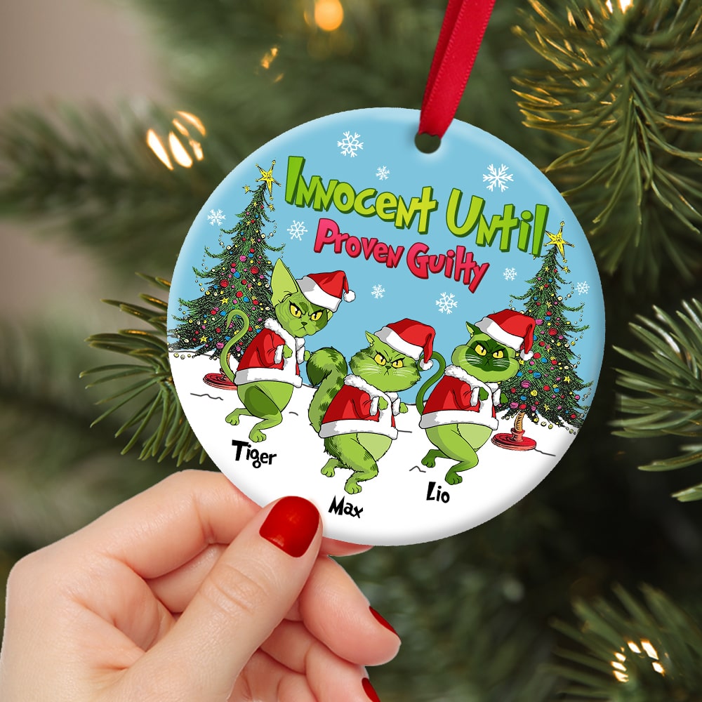 Personalized Grumpy Green Cat Lover Christmas Ornament