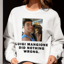 Load image into Gallery viewer, Luigi Mangione Supporter T-Shirt
